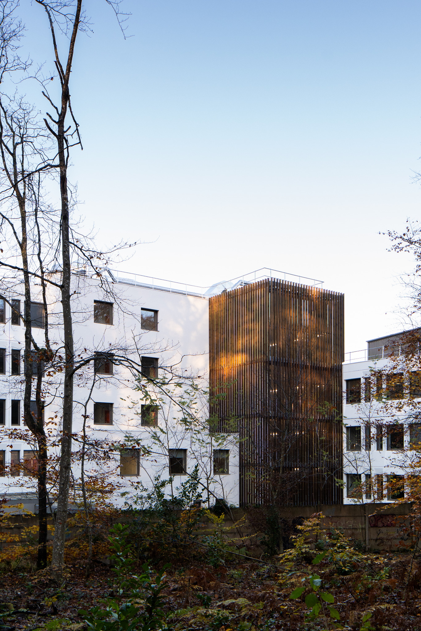 Groupe scolaire blanc dans son environnement paysager